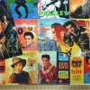 Elvis Presley Albüm Kapakları Desenli Kumaş